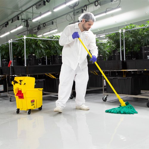 ALL Surface Disinfectant
