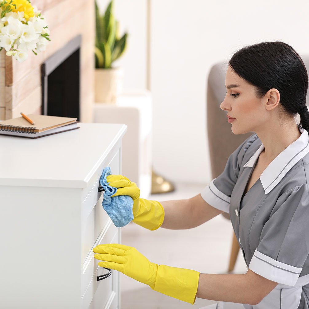 ALL Surface Disinfectant