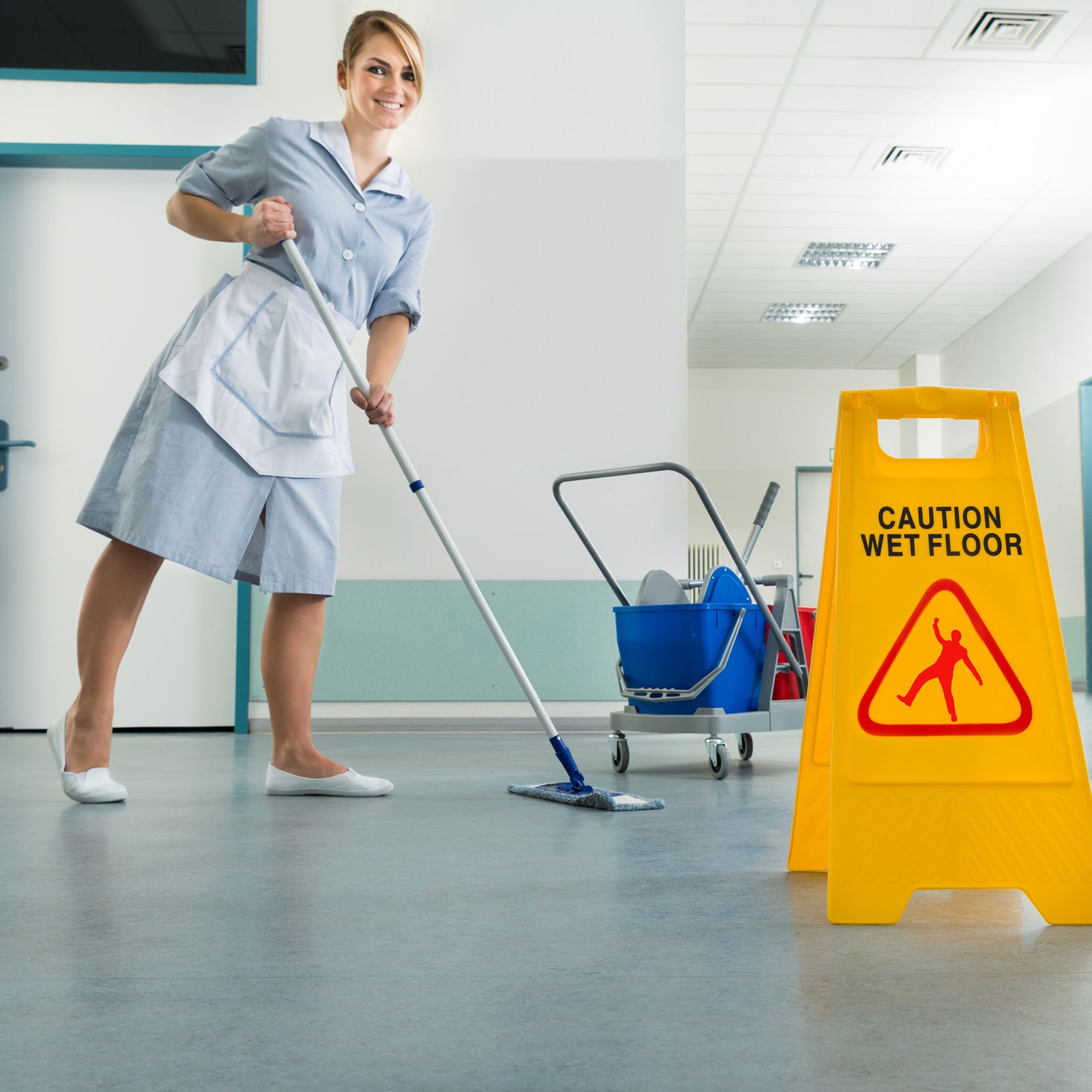 Floor & All surface Sanitizer & Cleaner